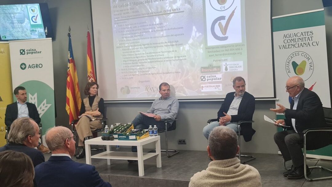 aguacate marca de cal b